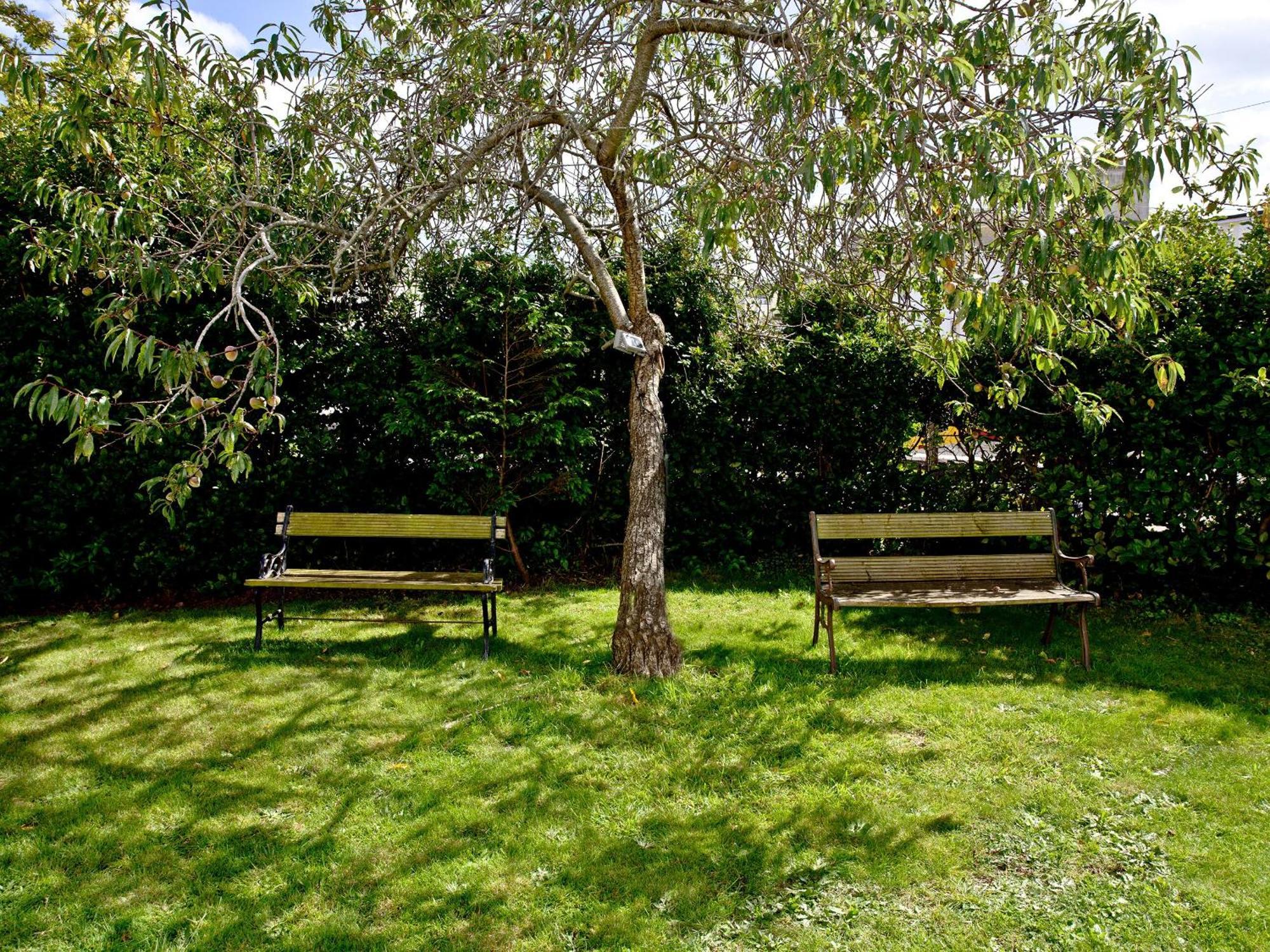 Devon Villa Garden Apartment Torquay Zewnętrze zdjęcie